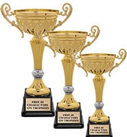 Cup Trophies | Participation Cup Trophies | Achievement Trophies