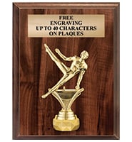 Component Wood Plaque and Shield Series, WS3100, Sports Trophy  suppliers/wholesalers, sports awards, trophies, medals, plaques